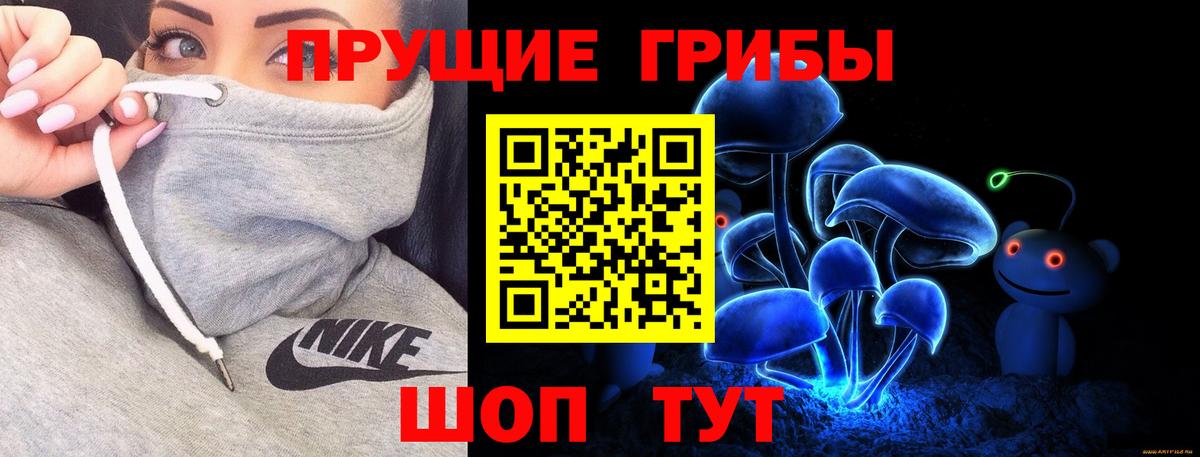 Псилоцибиновые грибы прущие грибы  Вход с VPN  Димитровград 